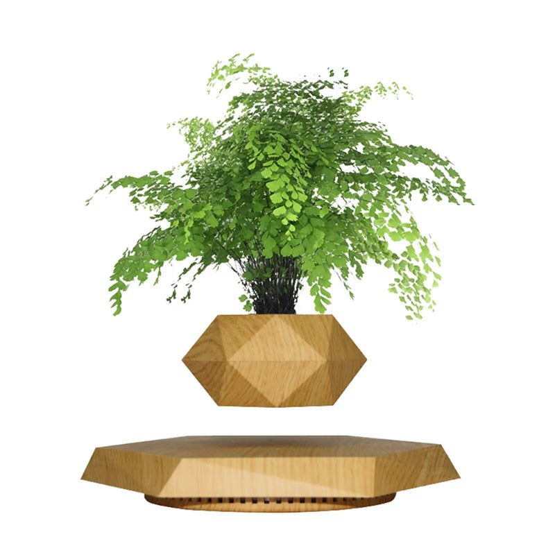Levitating - Bonsai Planter Pot