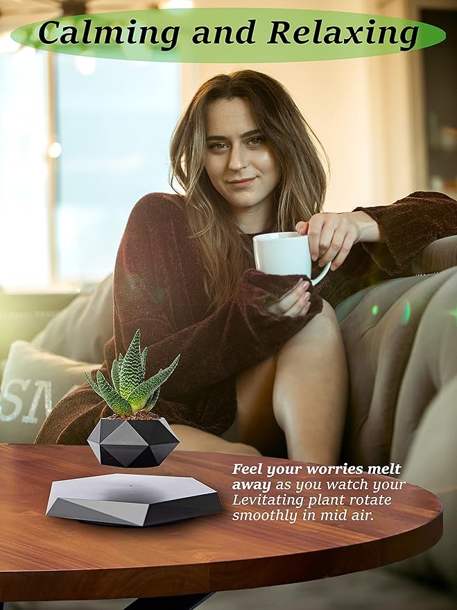 Levitating Bonsai Planter Pot - AEDKart UAE