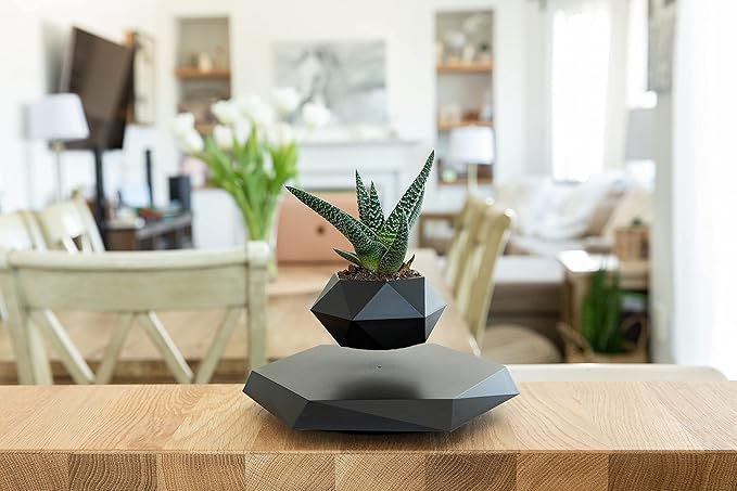 Levitating Bonsai Planter Pot - AEDKart UAE
