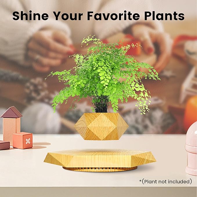 Levitating Bonsai Planter Pot - AEDKart UAE