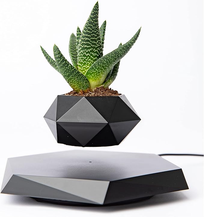 levitating-bonsai-planter-pot-c-4877413