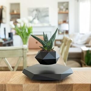 Levitating - Bonsai Planter Pot